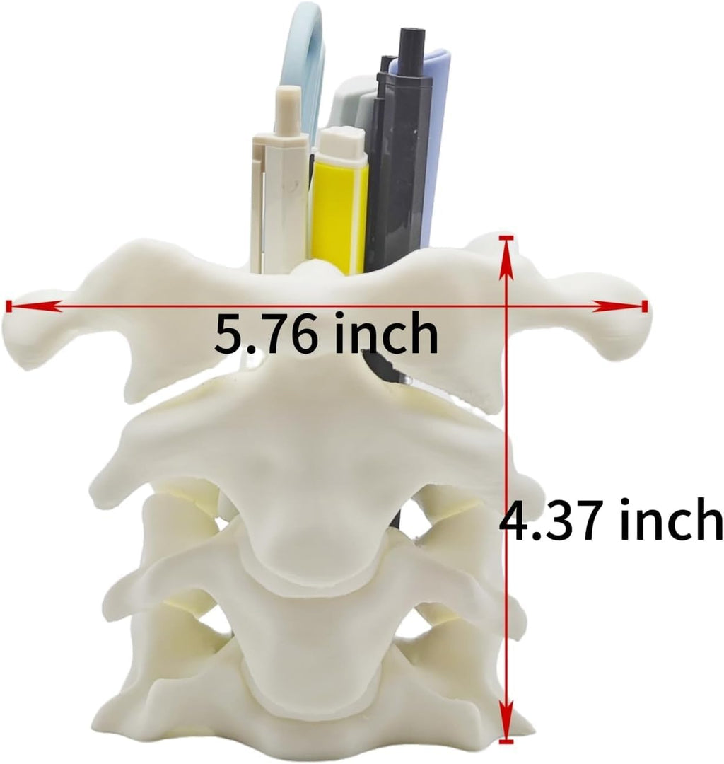 TIME&TRAVE Unique Spine Pen Holder Set for Desk, Pencil Holder Desk Organizers, Office Supplies Decorations Idea Gift for Doctors, Nurses, Chiropractors (5-7 Pens Black)