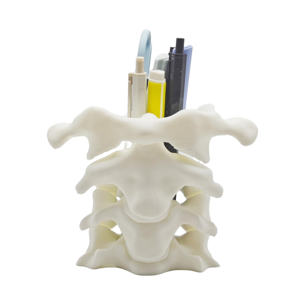 TIME&TRAVE Unique Spine Pen Holder Set for Desk, Pencil Holder Desk Organizers, Office Supplies Decorations Idea Gift for Doctors, Nurses, Chiropractors (5-7 Pens Black)