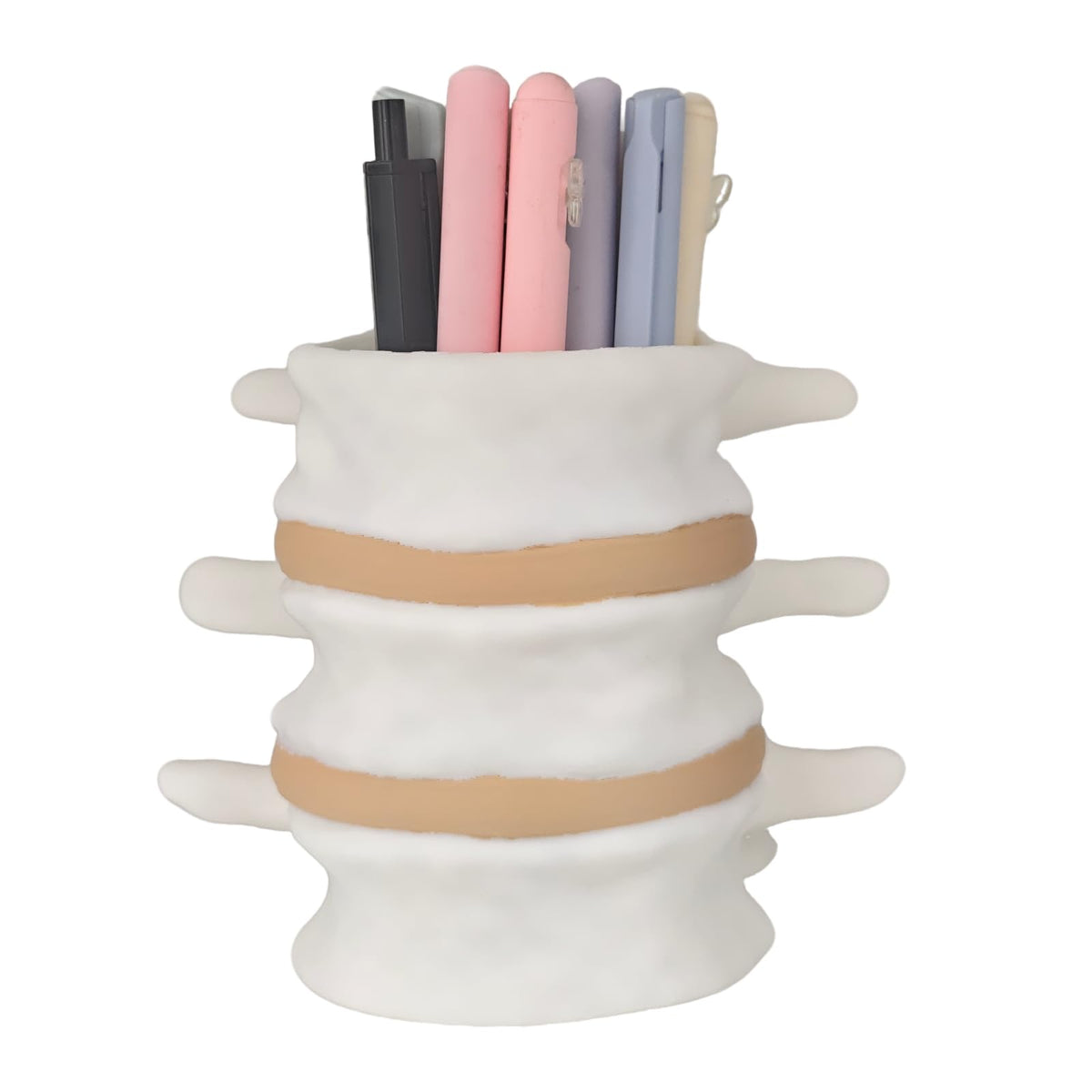 TIME&TRAVE Unique Spine Pen Holder Set for Desk, Pencil Holder Desk Organizers, Office Supplies Decorations Idea Gift for Doctors, Nurses, Chiropractors (5-7 Pens Black)