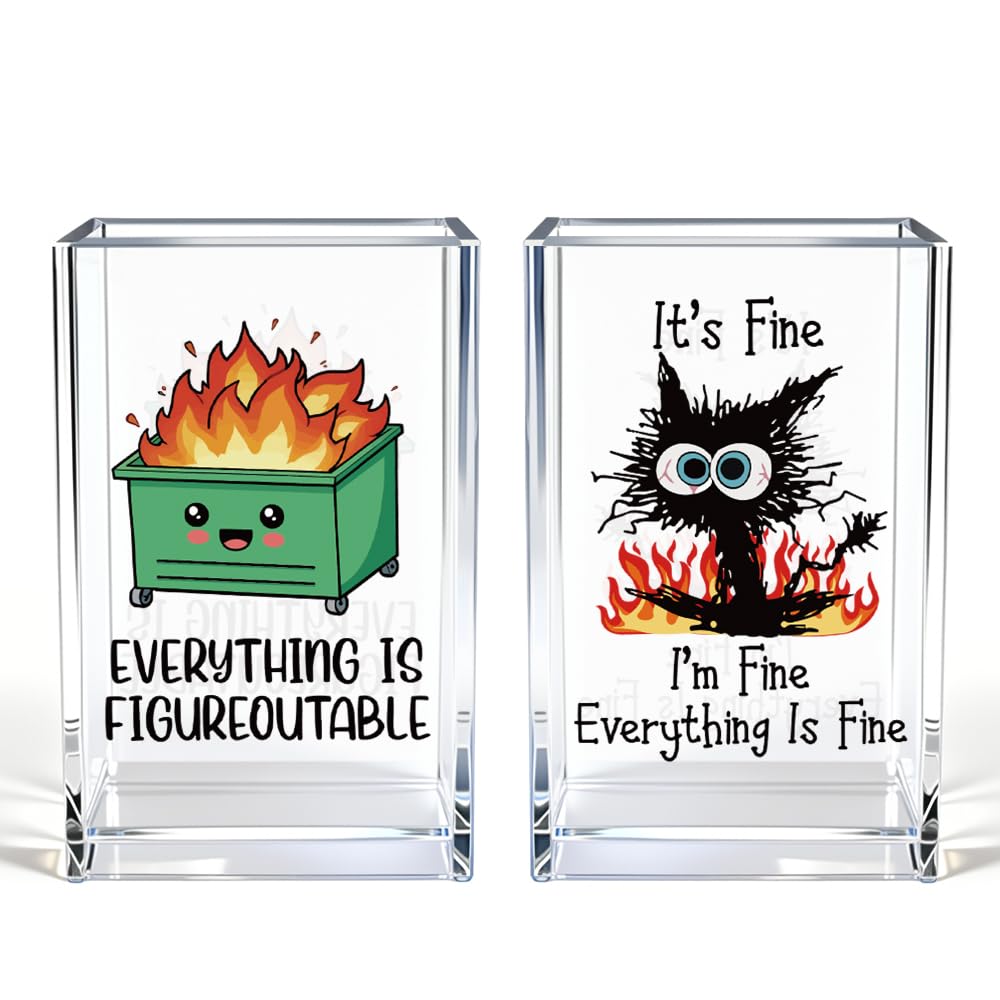 It's Fine I'm Fine Acrylic Cosmetic Pencil Pen Holder Cup, Funny Black Cat Pen Holder Cup, Cat Lover Gift for Women Men, Office Sarcastic Gifts for Women Men Colleague Boss