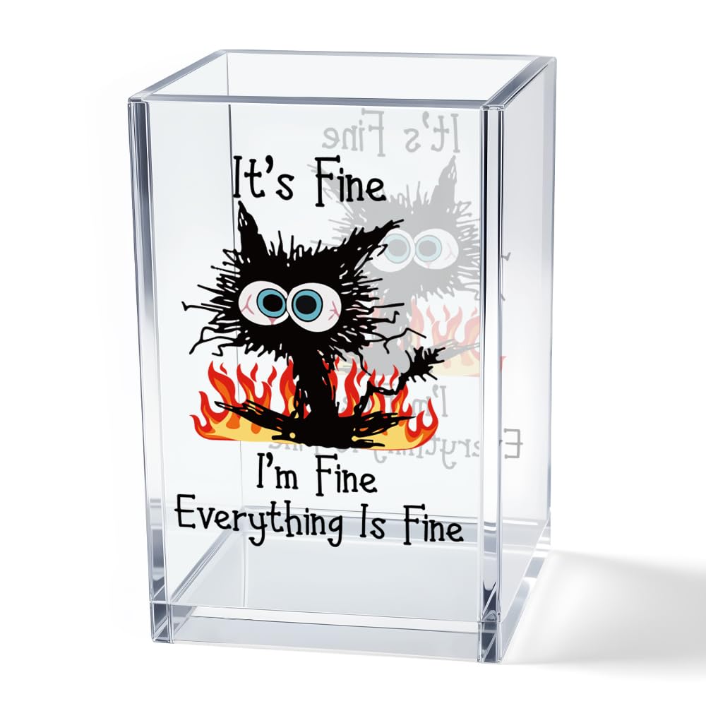 It's Fine I'm Fine Acrylic Cosmetic Pencil Pen Holder Cup, Funny Black Cat Pen Holder Cup, Cat Lover Gift for Women Men, Office Sarcastic Gifts for Women Men Colleague Boss
