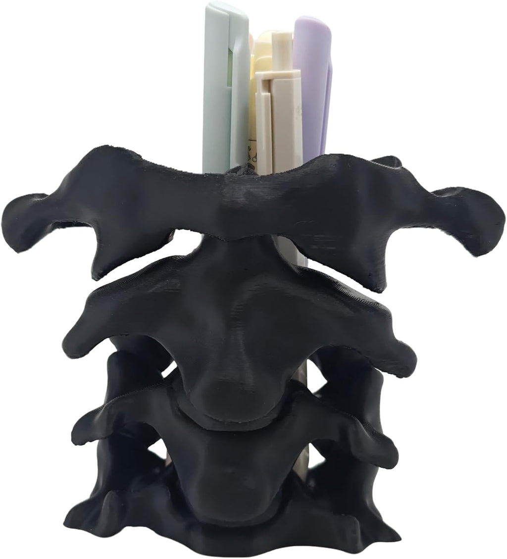 TIME&TRAVE Unique Spine Pen Holder Set for Desk, Pencil Holder Desk Organizers, Office Supplies Decorations Idea Gift for Doctors, Nurses, Chiropractors (5-7 Pens Black)
