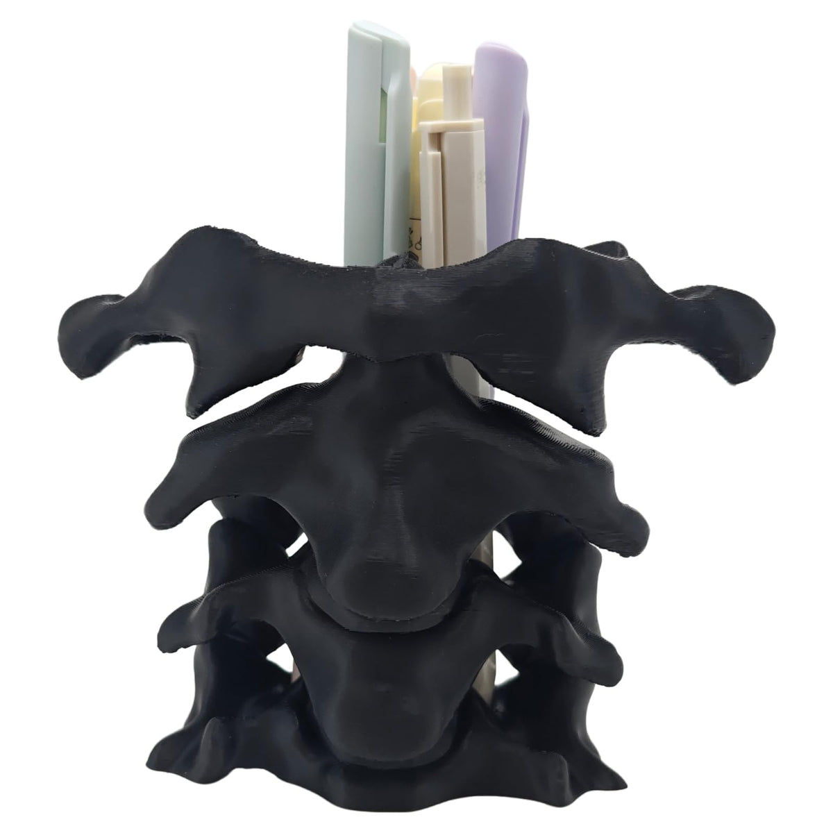 TIME&TRAVE Unique Spine Pen Holder Set for Desk, Pencil Holder Desk Organizers, Office Supplies Decorations Idea Gift for Doctors, Nurses, Chiropractors (5-7 Pens Black)