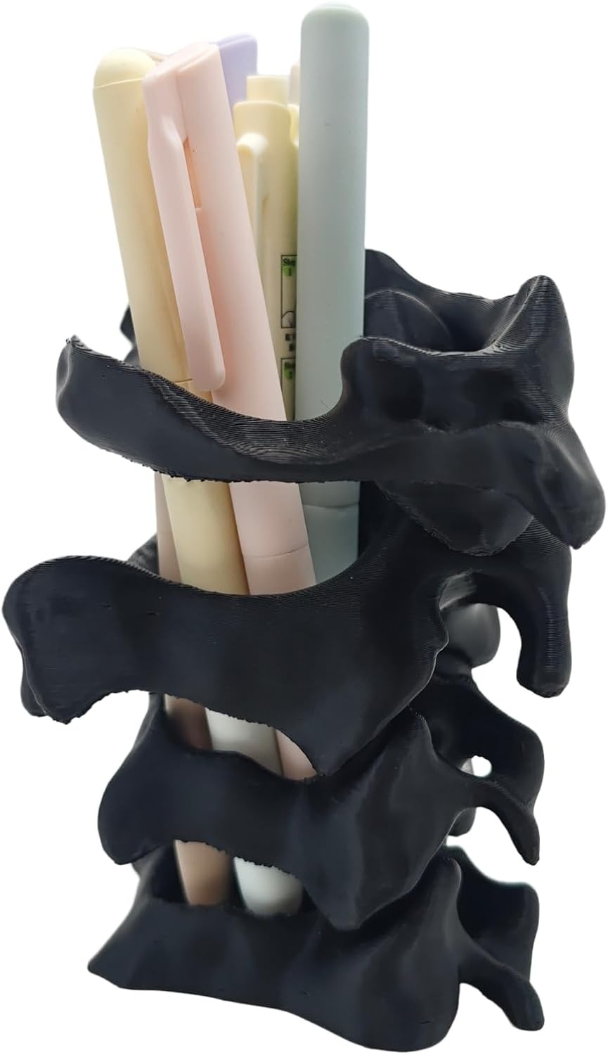 TIME&TRAVE Unique Spine Pen Holder Set for Desk, Pencil Holder Desk Organizers, Office Supplies Decorations Idea Gift for Doctors, Nurses, Chiropractors (5-7 Pens Black)