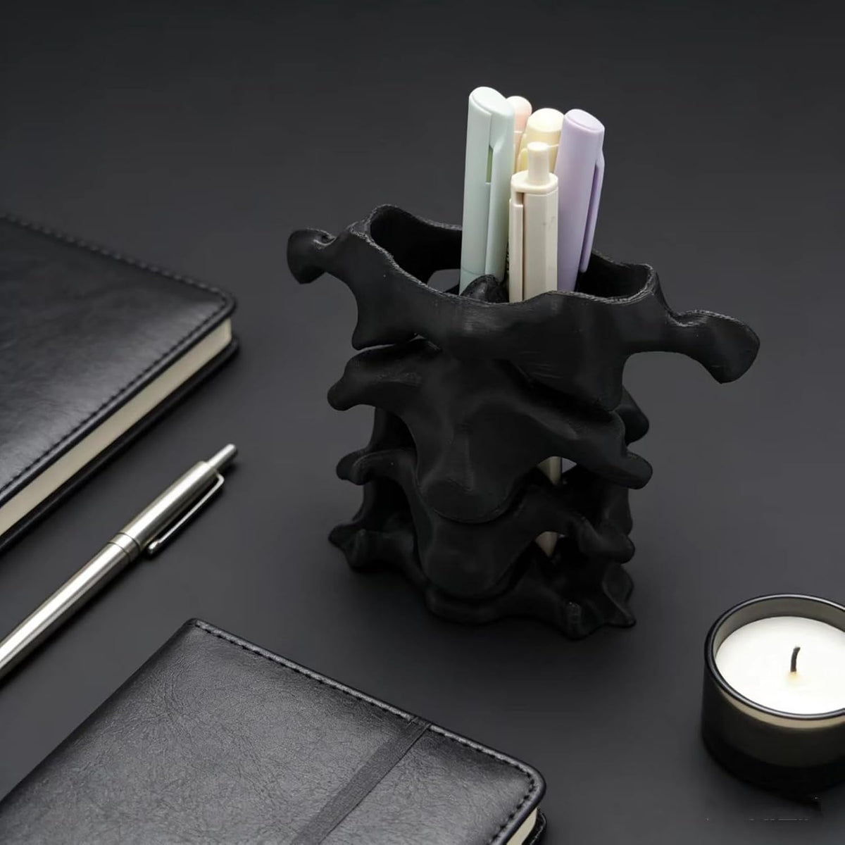 TIME&TRAVE Unique Spine Pen Holder Set for Desk, Pencil Holder Desk Organizers, Office Supplies Decorations Idea Gift for Doctors, Nurses, Chiropractors (5-7 Pens Black)