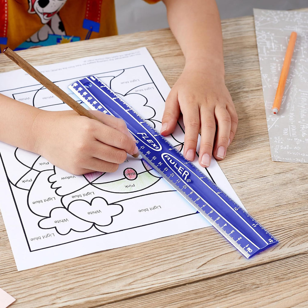 It's Academic Flexi Rulers, 12-inch Flexible Non-Breakable Ruler, 12-Pack, Assorted